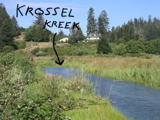 Watch out for Krocodiles!