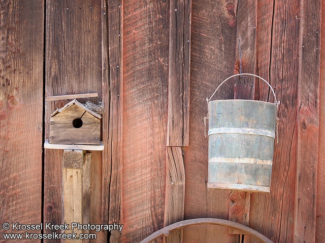 Birdnest on Birdhouse and Bucket
