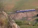 ACE Train