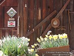 Barn with Tack