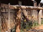 Hitching Post