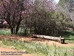 Log Bench