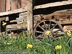 Wagon Wheel