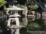 Koi Pond 2