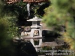 Koi Pond 9