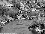 River Rapids