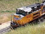 UP8337 Frieght